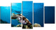 Broadclub Cuttlefish Underwater, Large Seashore Canvas Print, 60"x32", 5 Panels
