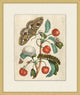 Prevailing Nature 4, Giclee Reproduction Artwork