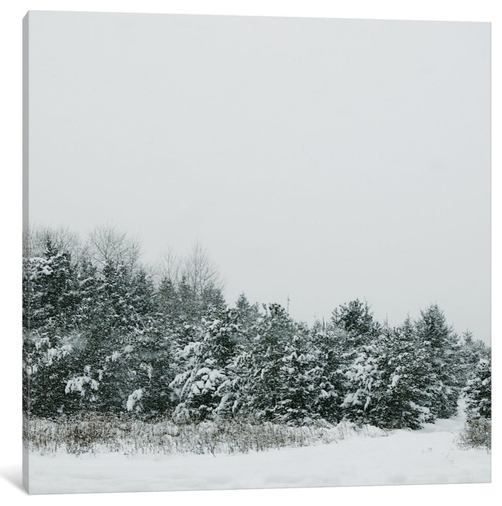 "Winter Shades II" by Chelsea Victoria, 12x12x1.5