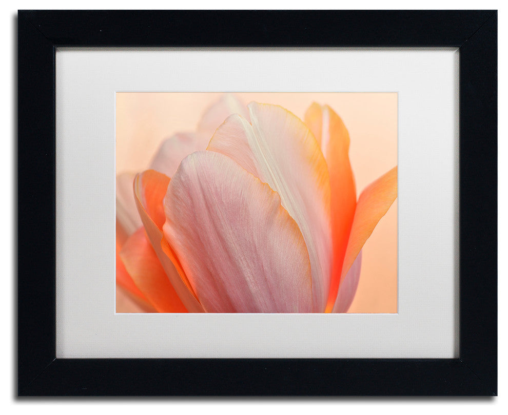 Cora Niele 'Orange Glowing Tulip' Matted Framed Art