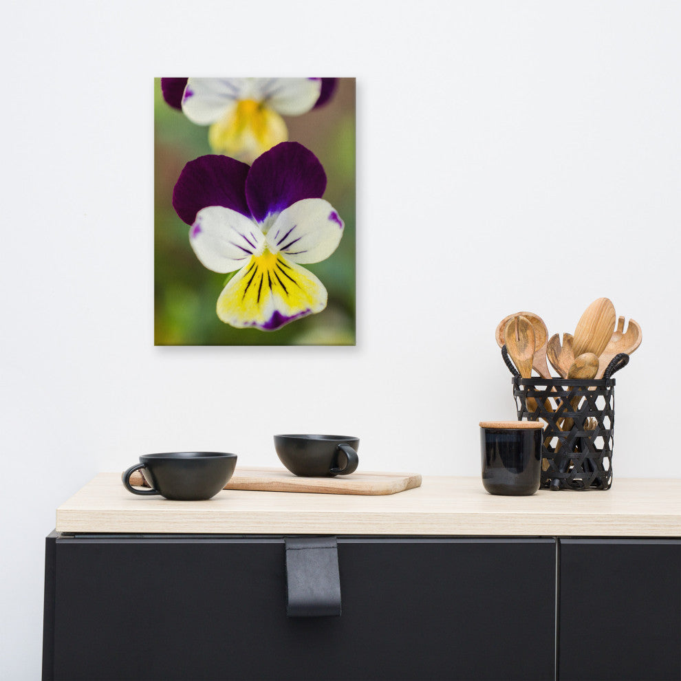 Pretty Little Violets Floral Nature Photography Canvas Wall Art Print, 12" X 16"