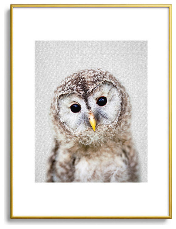 Gal Design Baby Owl Colorful Metal Framed Art Print