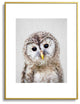Gal Design Baby Owl Colorful Metal Framed Art Print