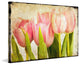 "Pink Tulips CU" Painting Print on Canvas by Malek