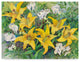 Joanne Porter ''Gold Lilies And Freesia'' Canvas Art, 32"x24"