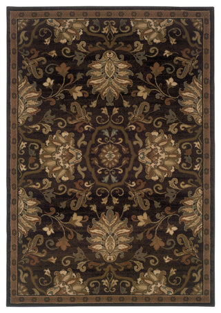 Harrison Oriental Brown and Beige Rug, 10'x13'
