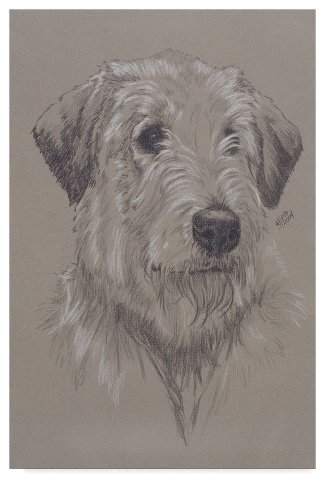 "Irish Wolfhound Illustration" by Barbara Keith, Canvas Art