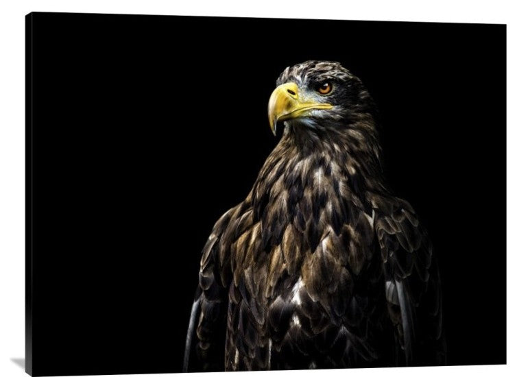 "Ego" Stretched Canvas Giclee by Christian Lechtenfeld, 40x30"