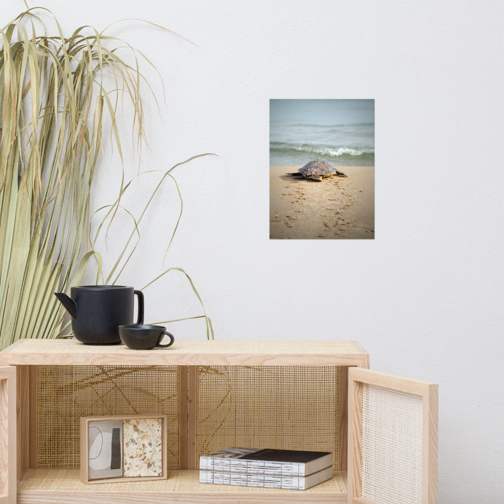 Baby Loggerhead Sea Turtle Beach Ocean Photograph Loose Wall Art Print, 12" X 16"