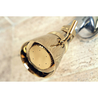 Showerscape 2-1/4" OD Shower Head, Polished Brass