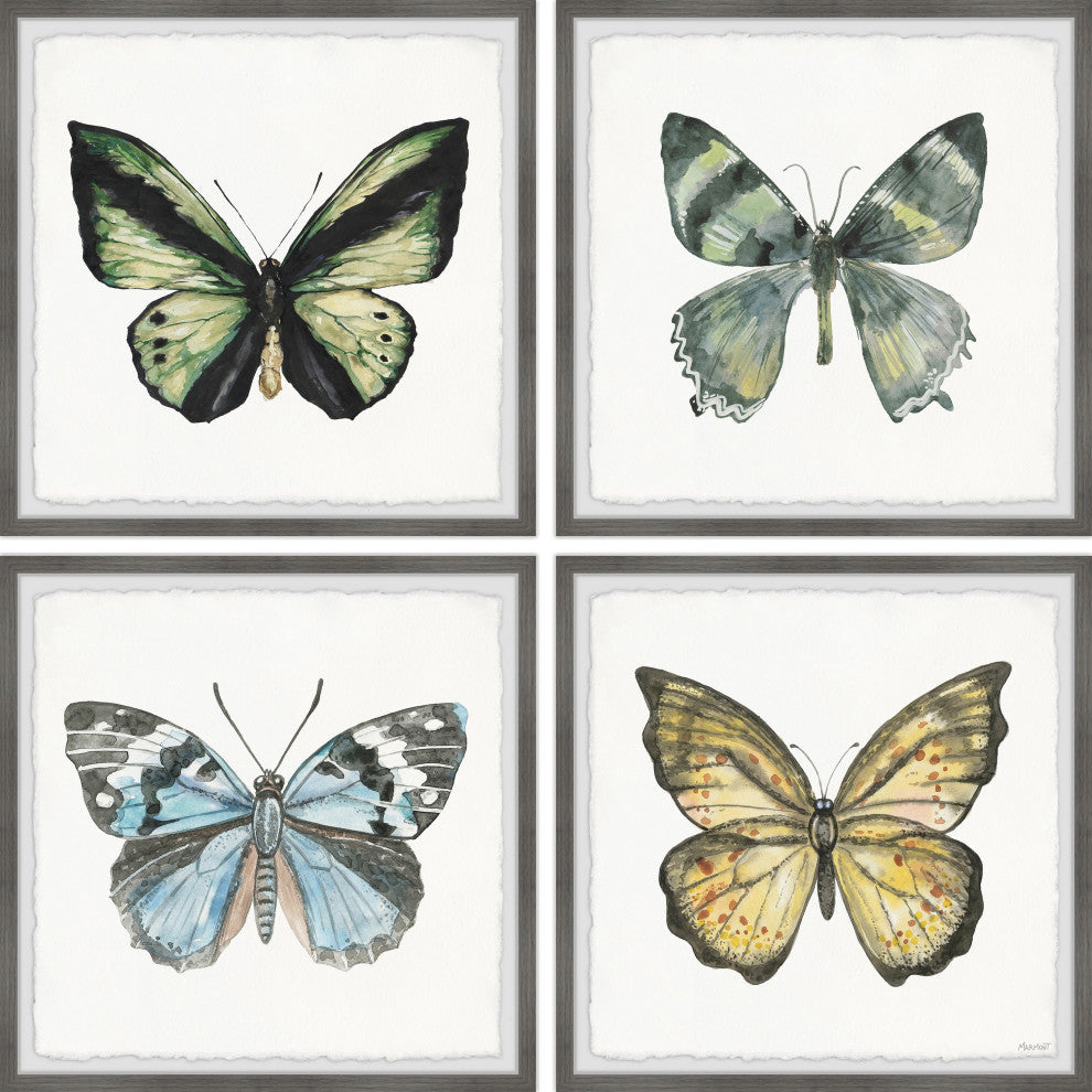 Fly Like a Butterfly Quadriptych, Set of 4, 24x24 Panels