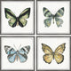 Fly Like a Butterfly Quadriptych, Set of 4, 24x24 Panels