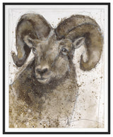 Bighorn Sheep 1 Fine Art Print, Black, 30"x24"
