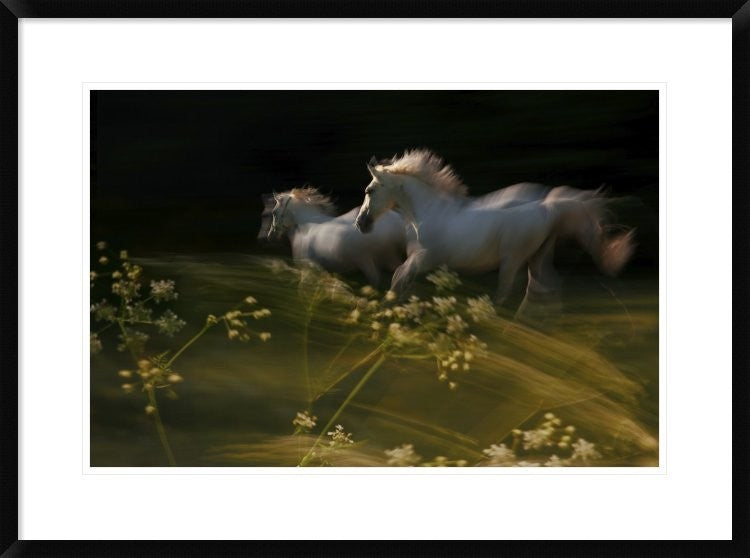 "Duel" Framed Digital Print by Milan Malovrh, 32x24"