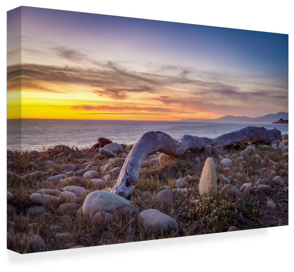 Chris Moyer 'Driftwood January' Canvas Art, 47"x30"