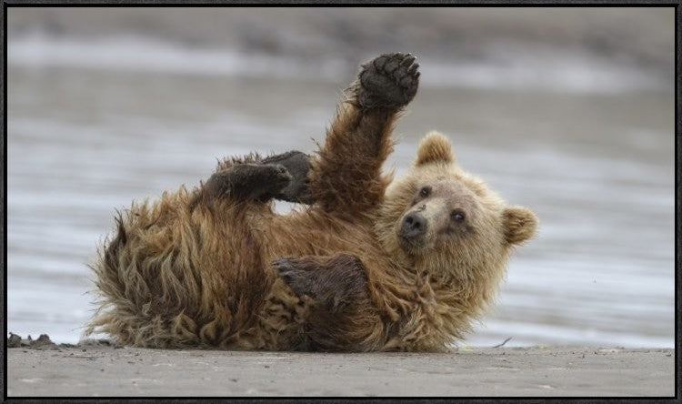 "High Five" Framed Canvas Giclee by Alfred Forns, 41x24"