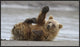 "High Five" Framed Canvas Giclee by Alfred Forns, 41x24"