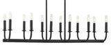 Crystorama Lighting Group BAI-A2112 Bailey 12 Light 42"W Linear - Matte Black