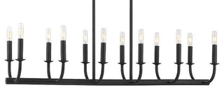 Crystorama Lighting Group BAI-A2112 Bailey 12 Light 42"W Linear - Matte Black