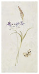 "Wild Wallflowers III" Digital Paper Print by Cheri Blum, 20"x38"