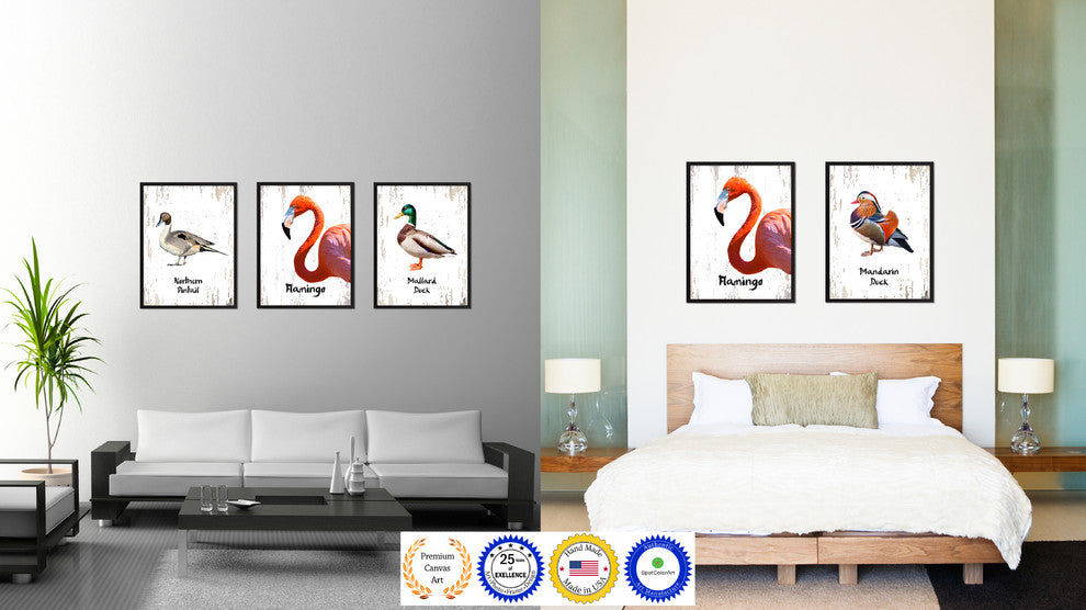 Flamingo Bird Canvas Print, 28"x37"