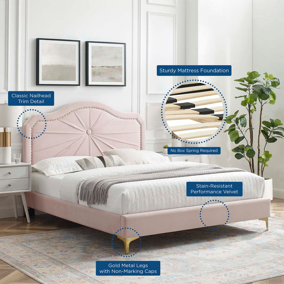Platform Bed Frame, Twin Size, Velvet, Pink, Modern Contemporary, Bedroom Master