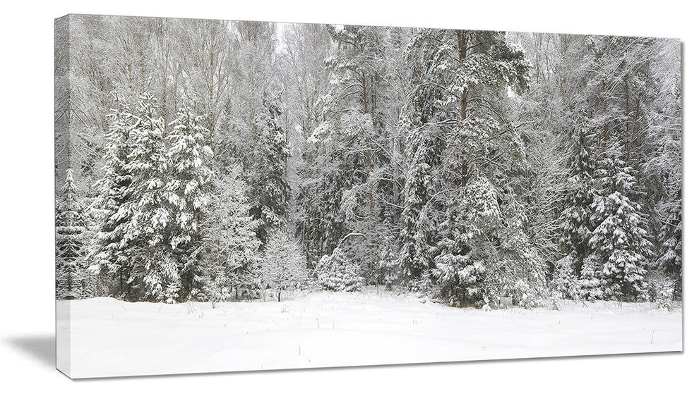 Foggy Winter Forest Panorama, Landscape Canvas Art Print, 32"x16"