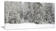 Foggy Winter Forest Panorama, Landscape Canvas Art Print, 32"x16"