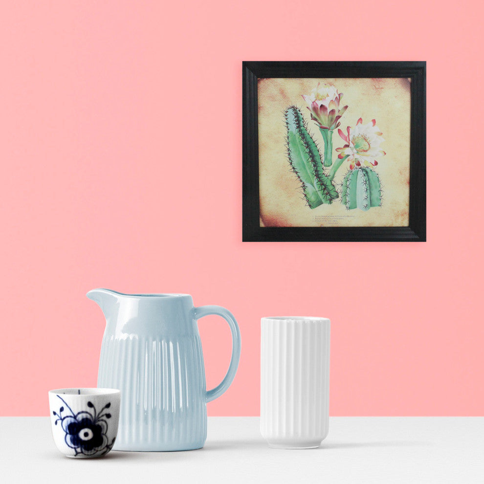 Cactus and Other Desert Plants by Black Photo Frame, 14"