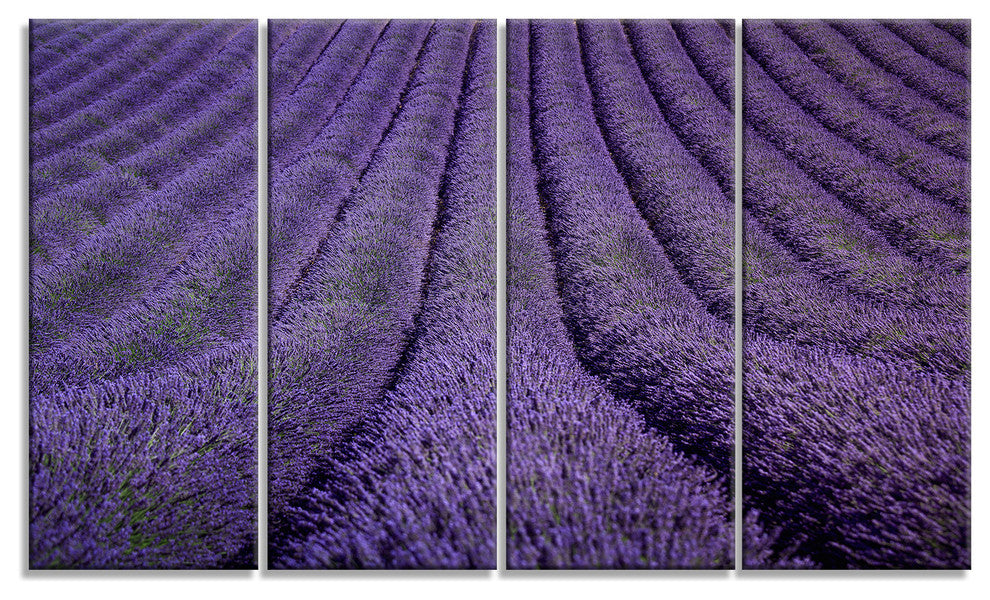 "Blooming Lavender Flower Texture" Landscape Wall Wall Art, 4 Panels, 48"x28"