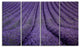 "Blooming Lavender Flower Texture" Landscape Wall Wall Art, 4 Panels, 48"x28"