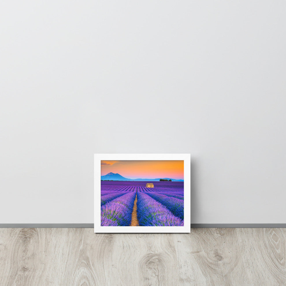 Blooming Lavender Field and Sunset Floral Landscape Framed Photo Wall Art Prints, White, 8" X 10"