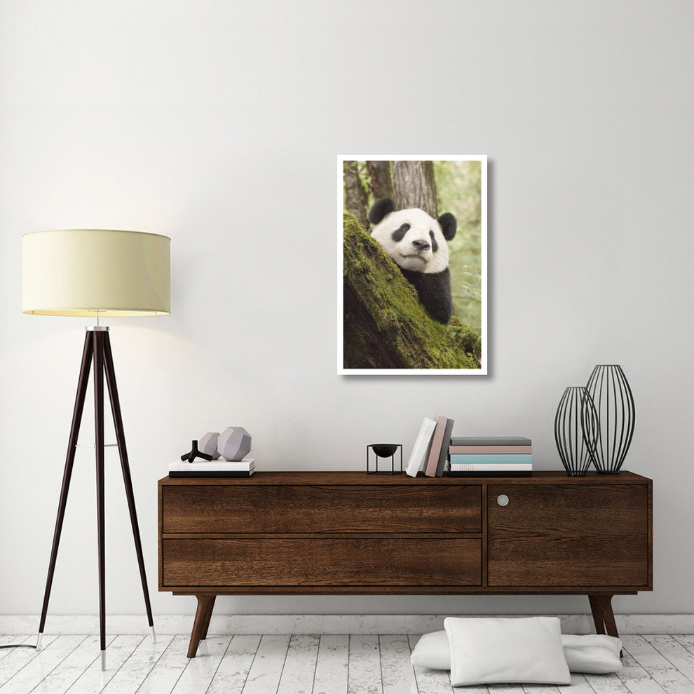 "Xiang Xiang, 1st captive raised panda released into wild" Paper Art, 26"x38"