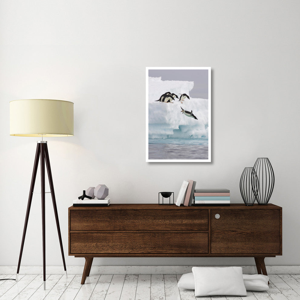 "Adelie Penguin diving off iceberg, Paulet Island" Paper Art, 26"x38"