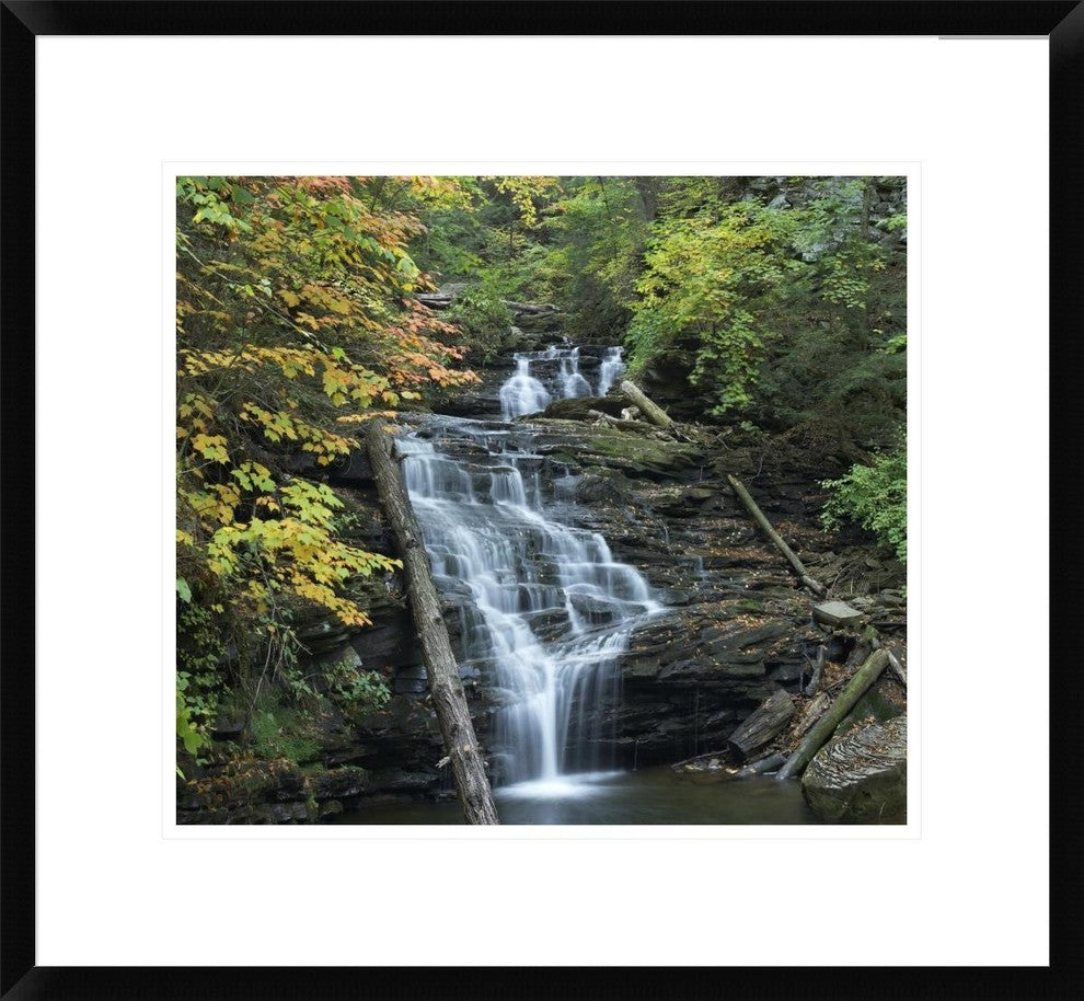 Delaware Falls, Ricketts Glen State Park, Pennsylvania, 22"x20.24"