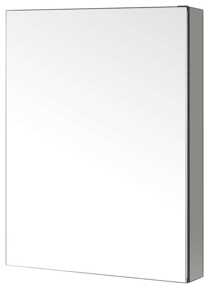 Confiant 20" Mirrored Medicine Cabinet Recessed or Surface Mount