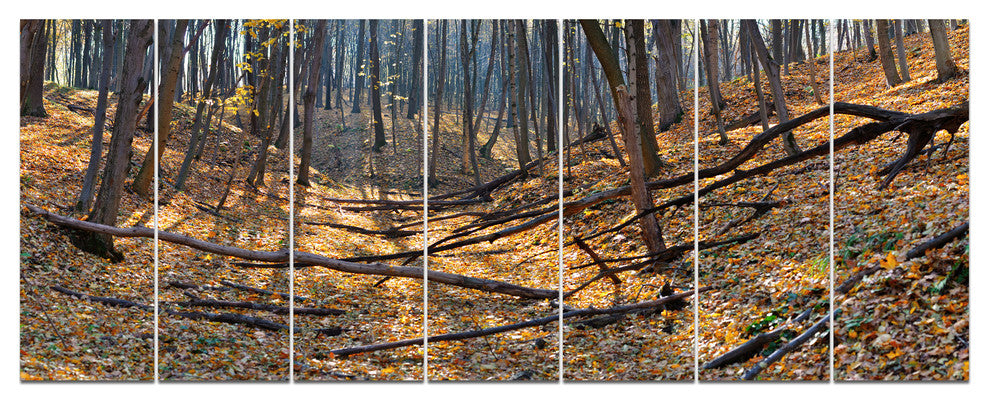 Thick Autumn Forest Panorama, Landscape Canvas Art Print, 83"x32", 7 Panels