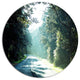 Road In The Jungle At Sunset, Landscape Round Wall Art, 11"