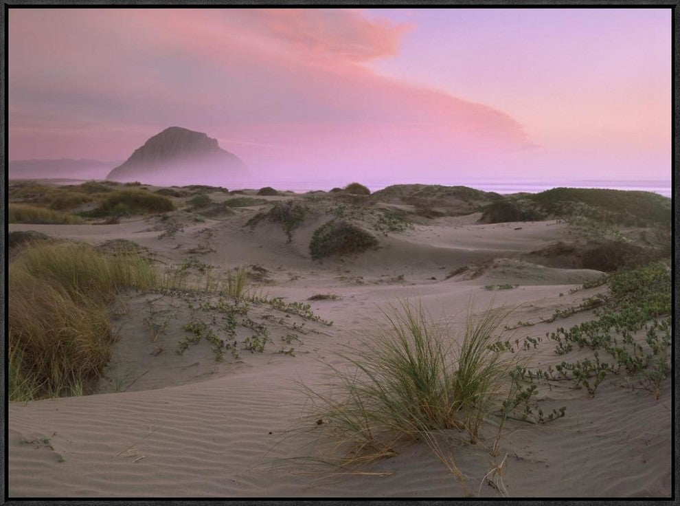 "Morro Rock at Morro Bay, California"  by Tim Fitzharris, 33x25"