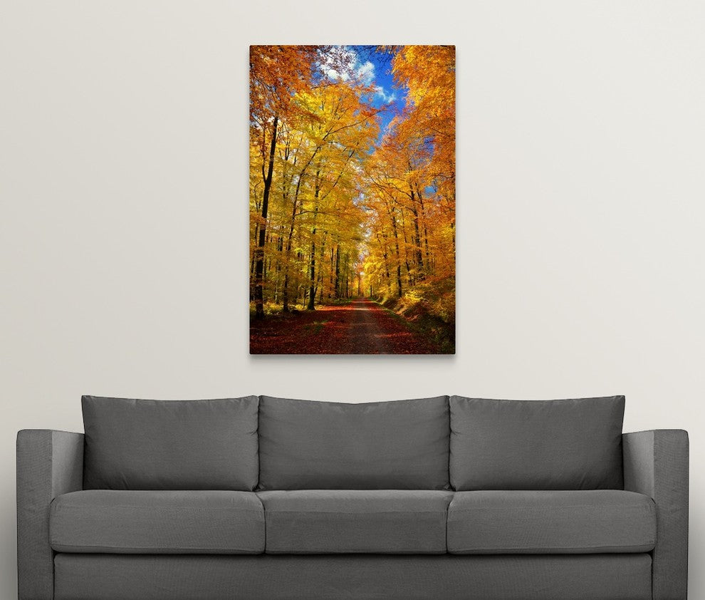 "Way To Fall" Wrapped Canvas Art Print, 32"x48"x1.5"