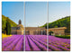 "Abbey of Senanque Lavender Flowers" Metal Wall Art, 3 Panels, 36"x28"