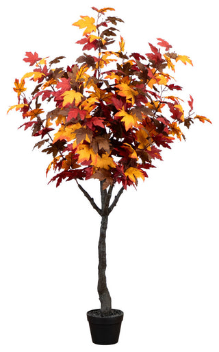 Full product on uniform white background; entire tree visible with no text.