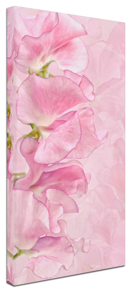 Cora Niele ''Pink Sweet Peas'' Canvas Art