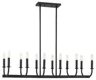 Bailey 12 Light Chandelier in Matte Black