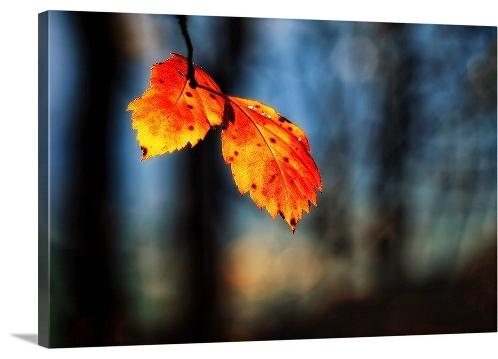 "The Making of Orange" Wrapped Canvas Art Print, 24"x16"x1.5"