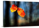 "The Making of Orange" Wrapped Canvas Art Print, 24"x16"x1.5"