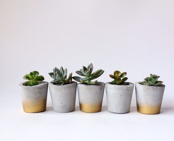 Mini Concrete Planters, Set of 10, Gold Faded
