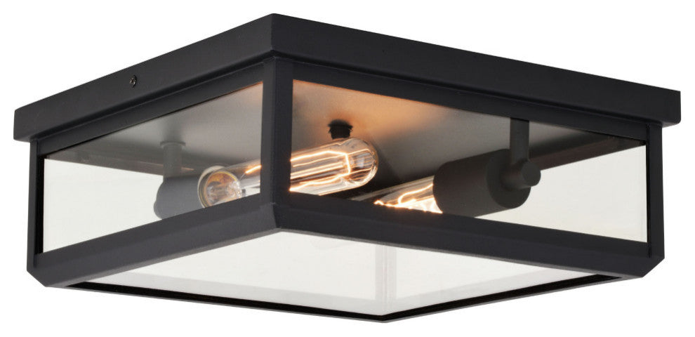 Kinzie 12" 2 Light Flush Mount Textured Black