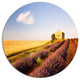Grain Fields With Lavender Rows, Landscape Round Wall Art, 11"