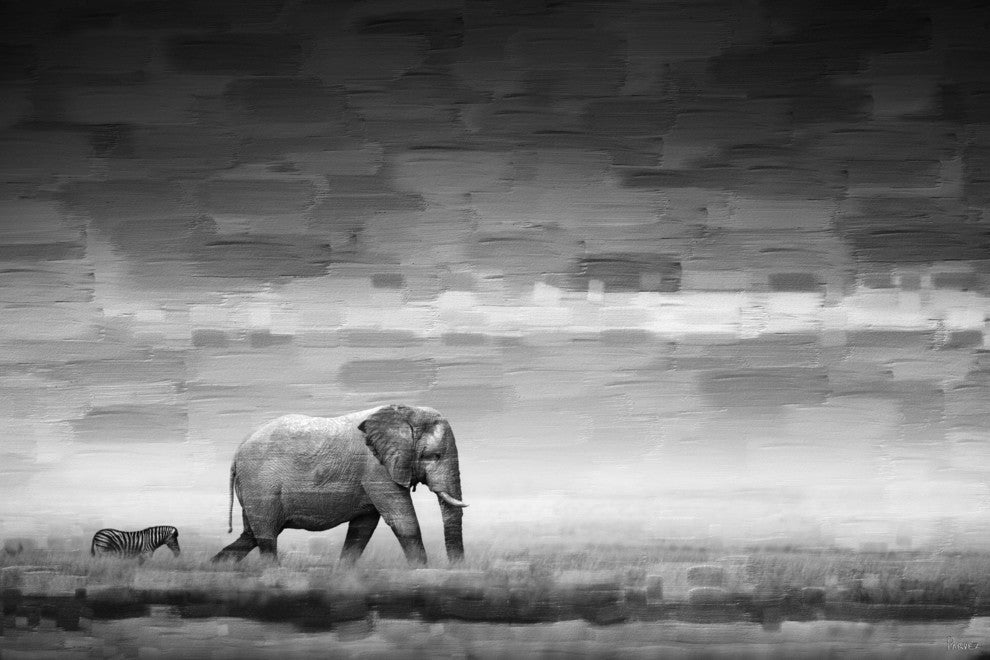 "Elephant" Fine Art Canvas Print, 18"x12"